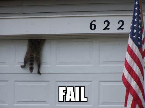 fail-racoon.jpg