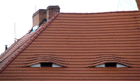 roof-eyes.jpg